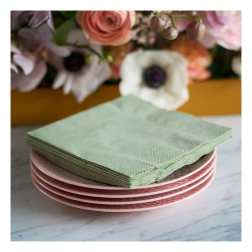Pistachio Green 2 Ply 33cm Paper Party Napkins