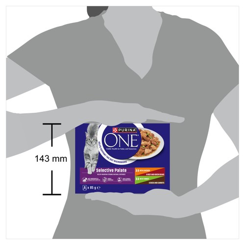 Purina One Mini Fillets Selective Palate Wet Cat Food