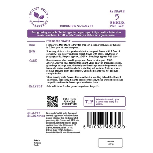 Mr Fothergills Seeds - D.T. Brown Cucumber Socrates