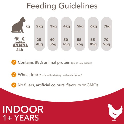 IAMS 1+ Years Indoor Dry Cat Food Chicken