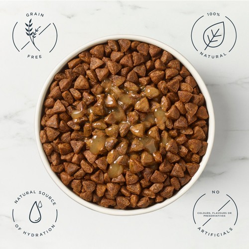 Encore Natural Chicken Bone Broth Dog Food Topper Spout Pouch