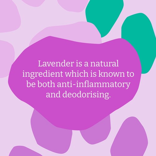 Faith In Nature Dog Care Shampoo Lavender