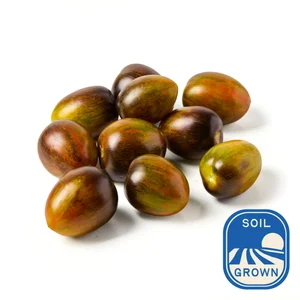 Natoora Brad's Atomic Tomatoes