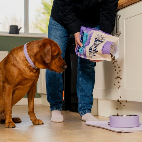 Pooch & Mutt Health & Digestion Complete Dry Dog Food