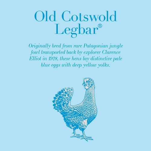 Clarence Court Cotswold Legbar 6 Free Range Blue Mixed Size Eggs