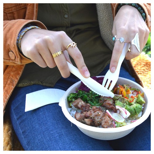 BioPak White Paper Knives