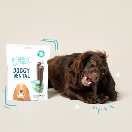 Edgard & Cooper Apple & Eucalyptus Medium Dog Dental Sticks