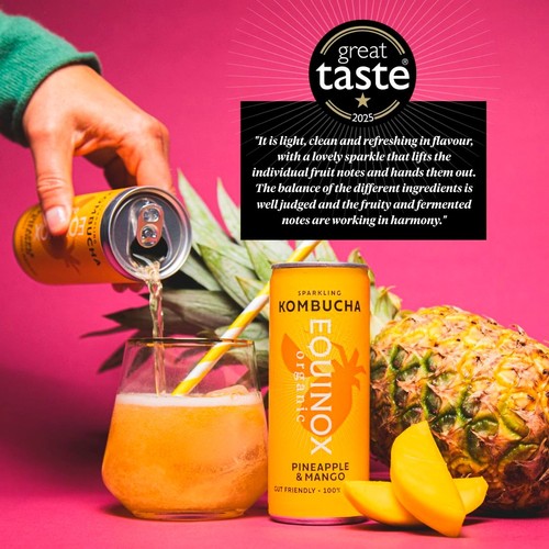 Equinox Organic Pineapple & Mango Kombucha