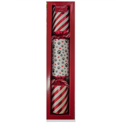 Christmas Cracker for Pet Cat