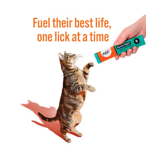 HiLife Functional Cat Licks Digestive Support