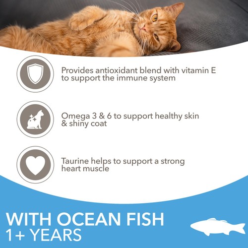 IAMS Adult Dry Cat Food Ocean Fish