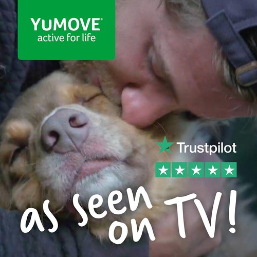 Yumove Chewies One a Day Dog Joint Supplement, Small Dog