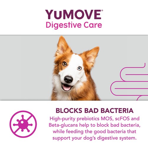 YuMOVE Dog Digestive Health Probiotics Supplement