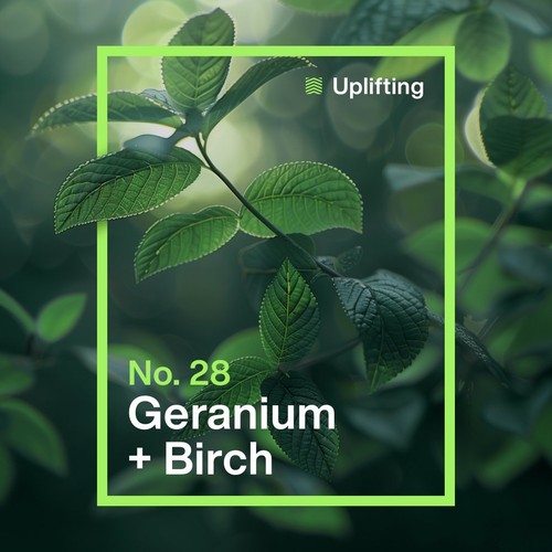INEOS Non Bio Laundry Capsules Geranium + Birch 24 Washes
