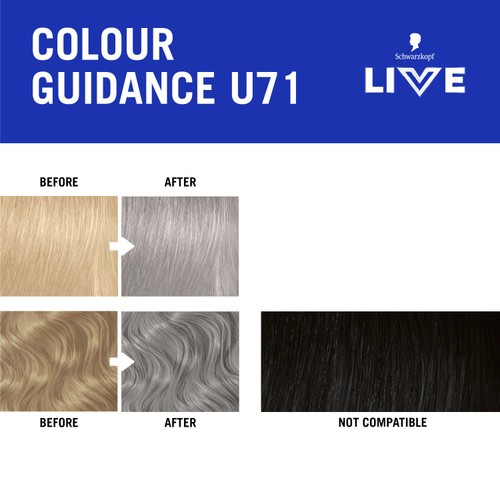 LIVE Intense Colour U71 Metallic Silver