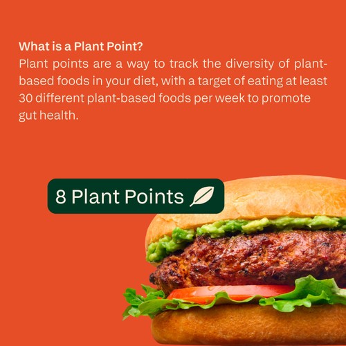 all plants Sweet Potato, Black Bean & Chipotle Protein Veggie Burger