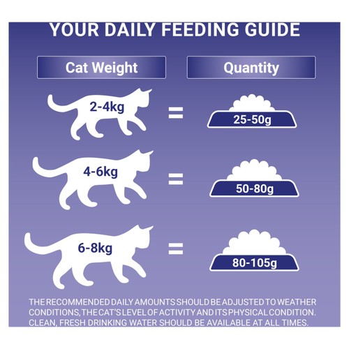 Purina One Senior 7+ Chicken Dry Cat Food