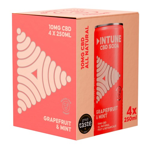 INTUNE Grapefruit & Mint Sparkling CBD Drink
