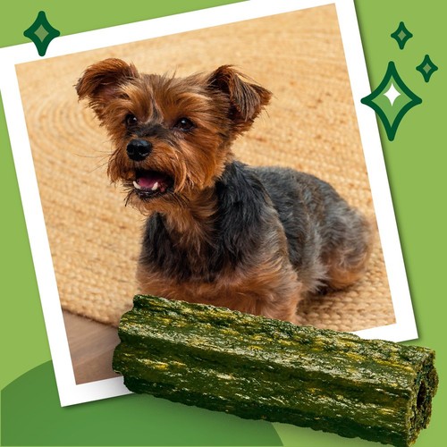 Lily's Kitchen Woofbrush All Natural Daily Dental Chew Small Dog Multipack