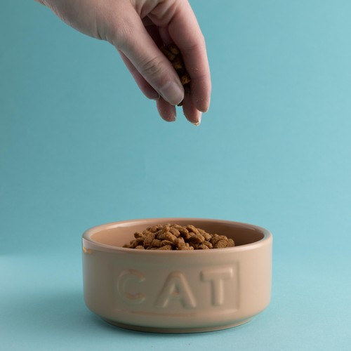 Mason Cash Cane Lettered Cat Bowl 13cm