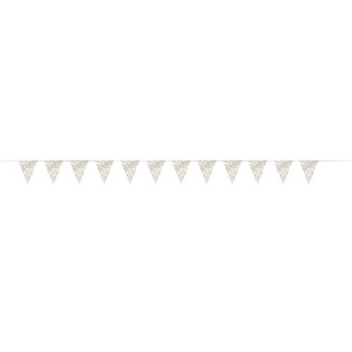 Rainbow Polka Dot Flag Banner 12ft