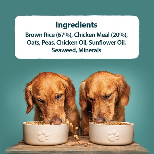 Burns Original Adult/Senior Chicken & Brown Rice Dry Dog Food