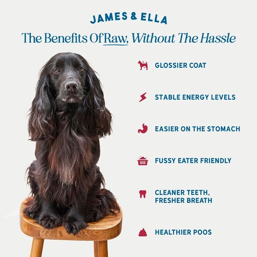 James & Ella Dog Food, Beef