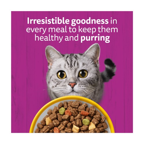 Whiskas 7+ Senior Dry Cat Food with Chicken