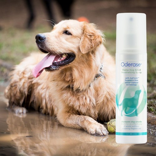 Oderase Damp Dog Smell Neutralising Spray