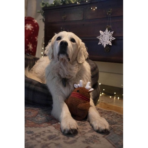 Petface Ronee Reindeer Plush Dog Toy
