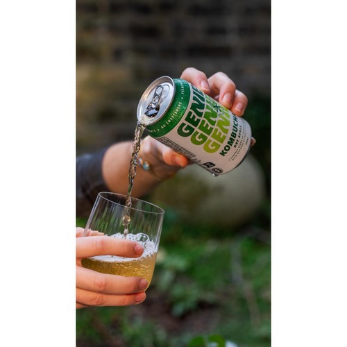GENIE Kombucha Dry Apple