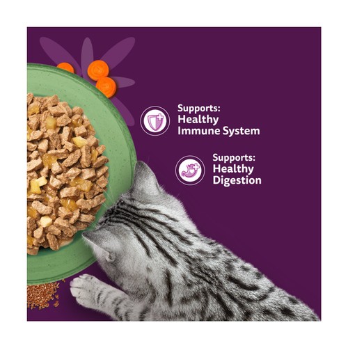 Whiskas 1+ Wet Cat Food Superfoods Mixed Selection in Jelly 15x50g