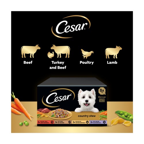Cesar Country Stew Adult Wet Dog Food Trays Special Selection 
