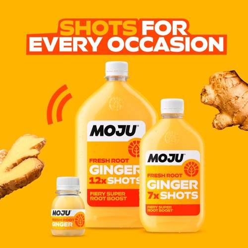 MOJU XL Ginger Dosing Bottle 12x Shots