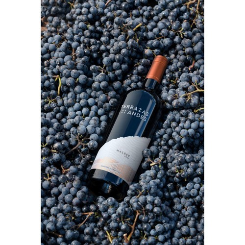 Terrazas de los Andes Reserva Malbec