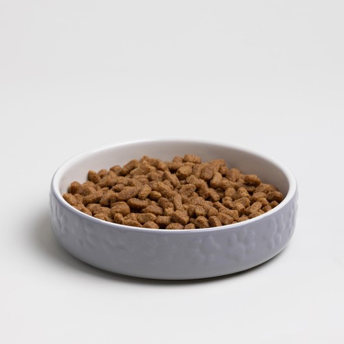 Mason Cash Colour Mix Grey Cat Saucer 13cm