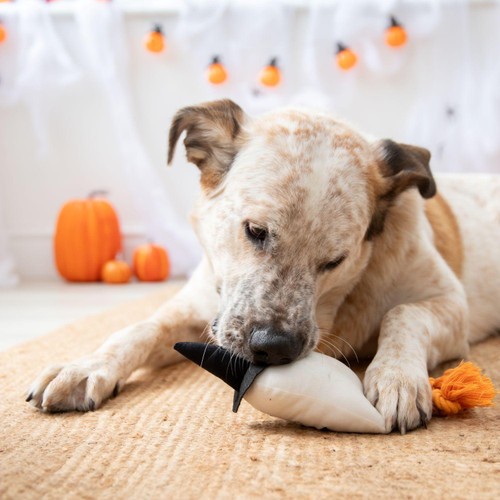 Spirit & Spook Gregory Ghost Dog Toy