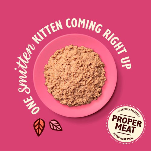 Lily's Kitchen Pate Selection for Kittens