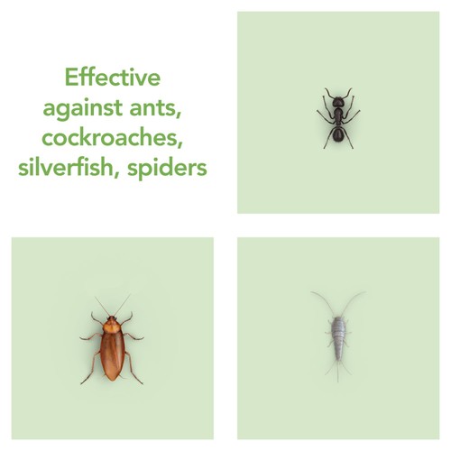 Raid Plant Based Crawling Insect Killer Aerosol Spray