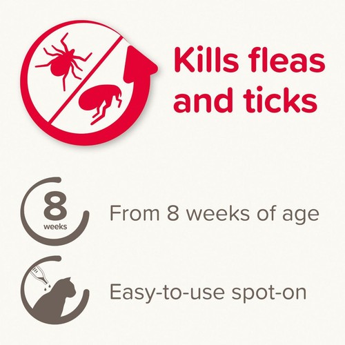 Beaphar FIPROtec Flea & Tick Spot-On for Cats