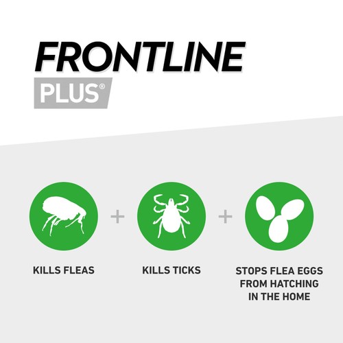 FRONTLINE Plus Flea & Tick Treatment Medium Dog 10-20kg