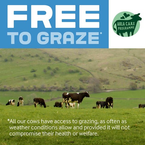 Cravendale Filtered Fresh Whole Milk 1L Fresher for Longer