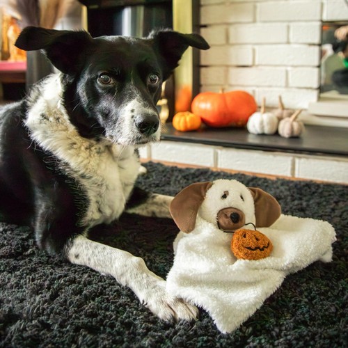 Rosewood Dewey Dog