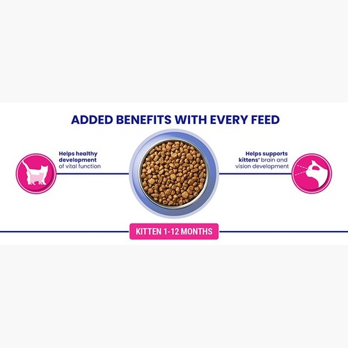 PURINA ONE Kitten Chicken Dry Cat Food
