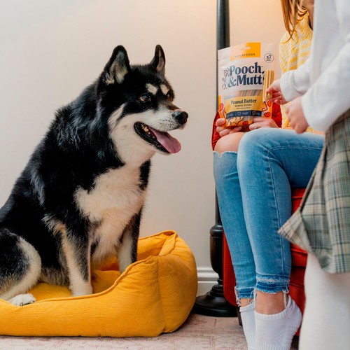 Pooch and Mutt Peanut Butter Dental Sticks For Dogs