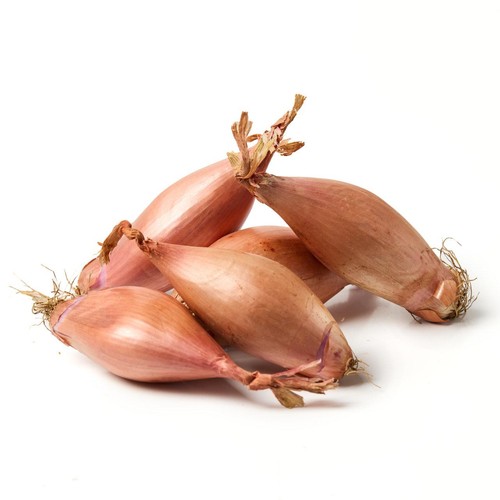 Natoora Large Echalion Shallots