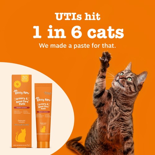 Zesty Paws Urinary Care Paste For Cats Paste