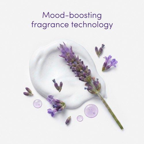 Dove Body + Mind French Lavender & Oat Milk Mousse