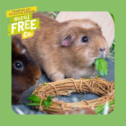 Burgess Excel Guinea Pig Food Nuggets with Mint