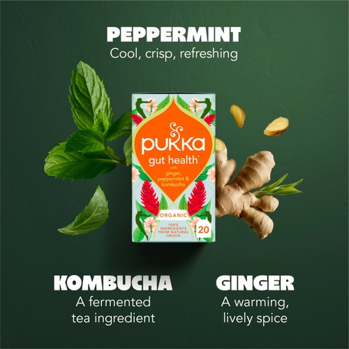 Pukka Herbs Organic Gut Health Tea with Peppermint, Ginger & Kombucha